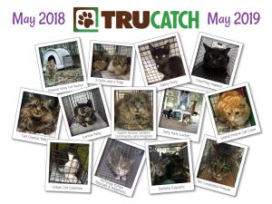 Tru Catch Traps Calendar