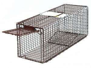 Tuffy 24 - Kitten Trap