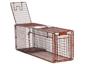 30D - Wildcat Deluxe Trap