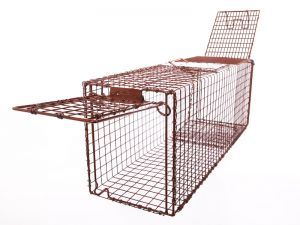 30LTD - Light Duty Animal Trap 