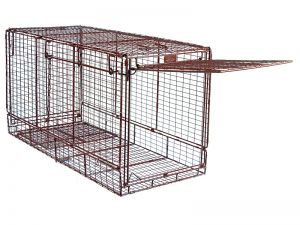 48F - Folding Trap 
