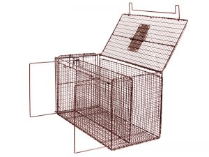 RC24 - Restraint Carrier