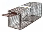 Tuffy 24 - Kitten Trap