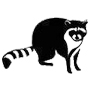 Raccoon