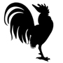 Rooster