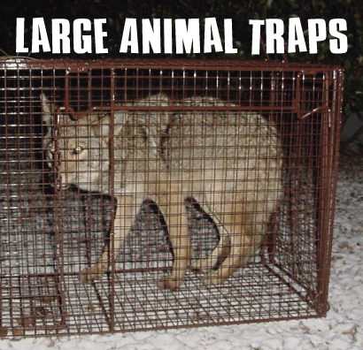 Large Animal Traps