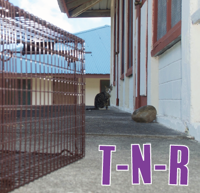 Trap-Neuter-Return