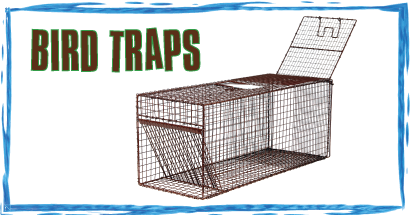 Bird Traps